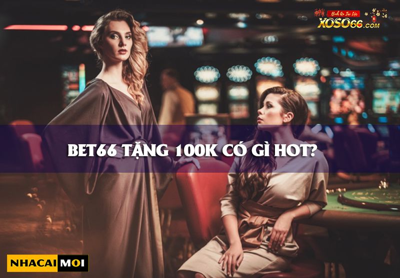 Trải nghiệm thực tế ảo trong một đấu trường đá gà đẳng cấp 100Win - 100Win